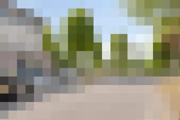 Mies van der Rohestraat 2 Dongen thumbnail 11