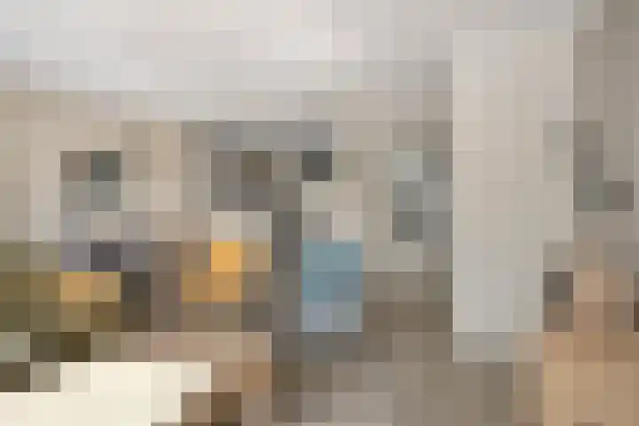 Mies van der Rohestraat 2 Dongen thumbnail 16