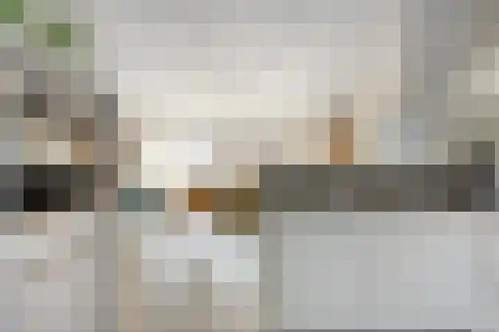 Mies van der Rohestraat 2 Dongen thumbnail 20