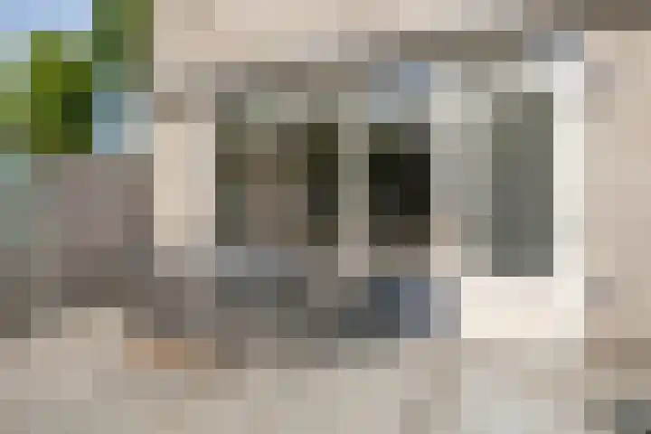 Mies van der Rohestraat 2 Dongen thumbnail 30