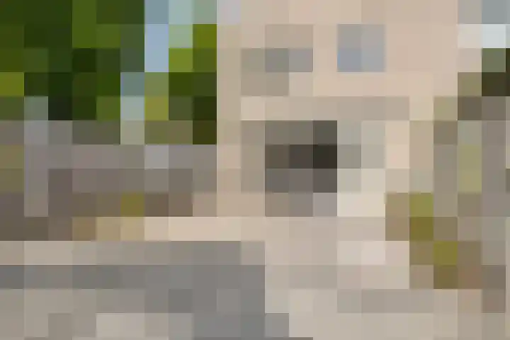 Mies van der Rohestraat 2 Dongen thumbnail 6