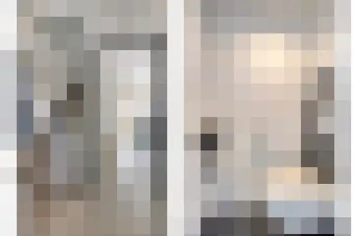 Mies van der Rohestraat 2 Dongen thumbnail 7