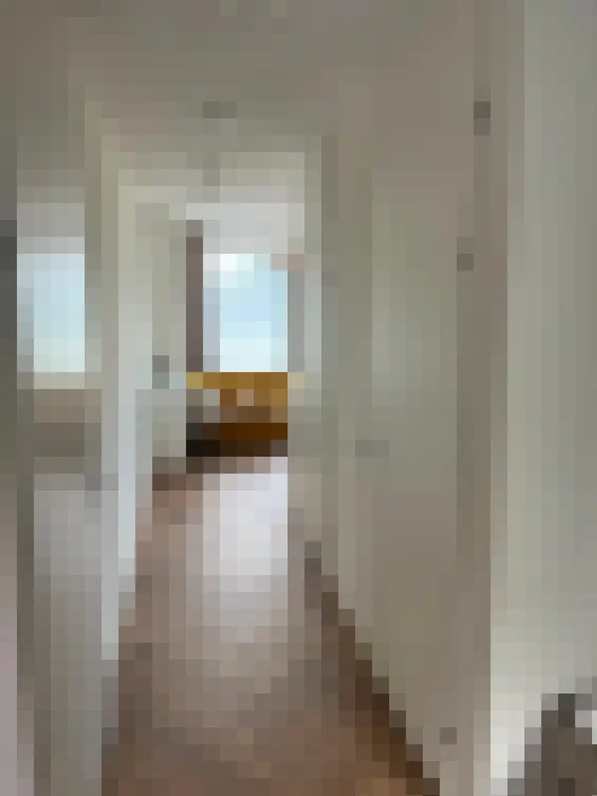 Mies van der Rohestraat 241 Hoofddorp thumbnail 6