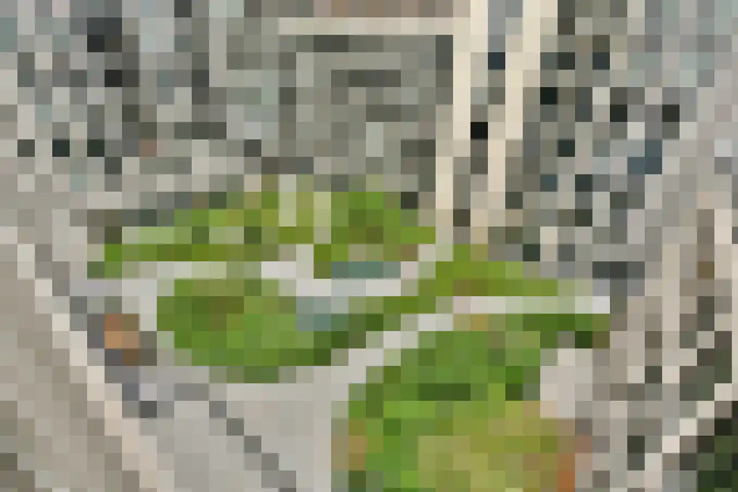 Mies van der Rohestraat 277 Hoofddorp thumbnail 20