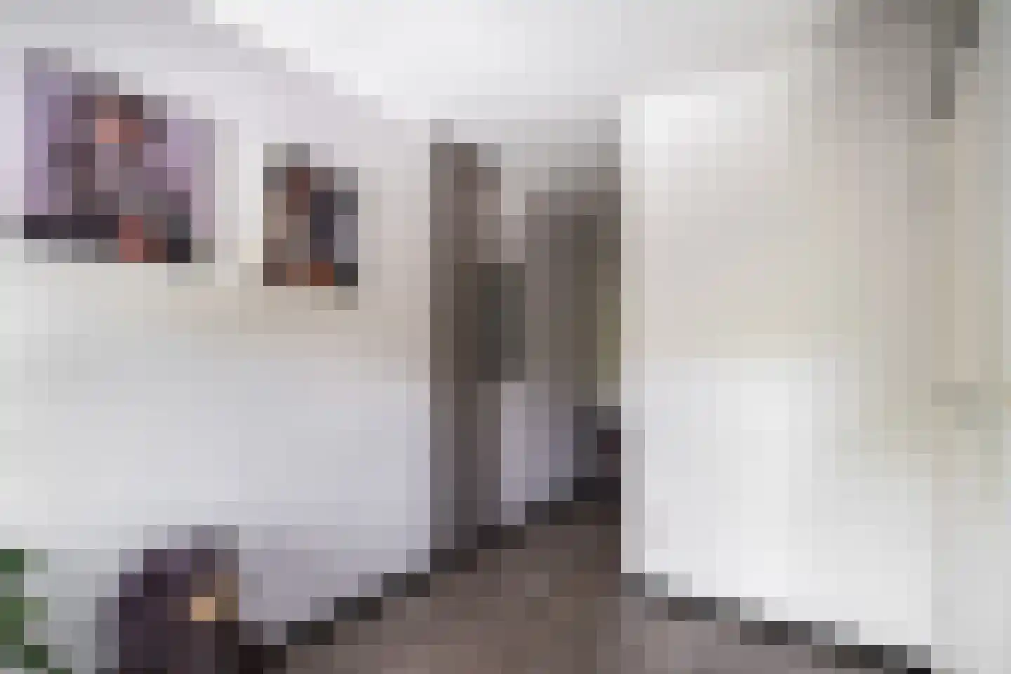 Mies van der Rohestraat 28 Landgraaf thumbnail 18