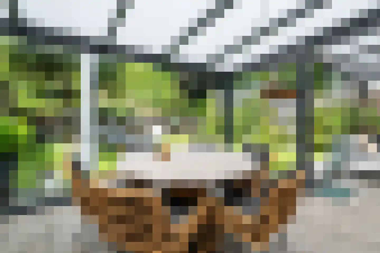 Mies van der Rohestraat 28 Landgraaf thumbnail 26