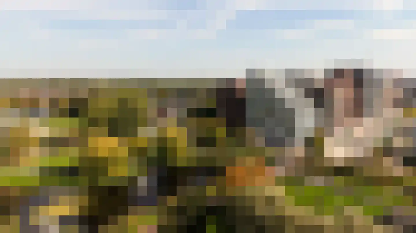 Mies van der Rohestraat 41 Hoofddorp thumbnail 6