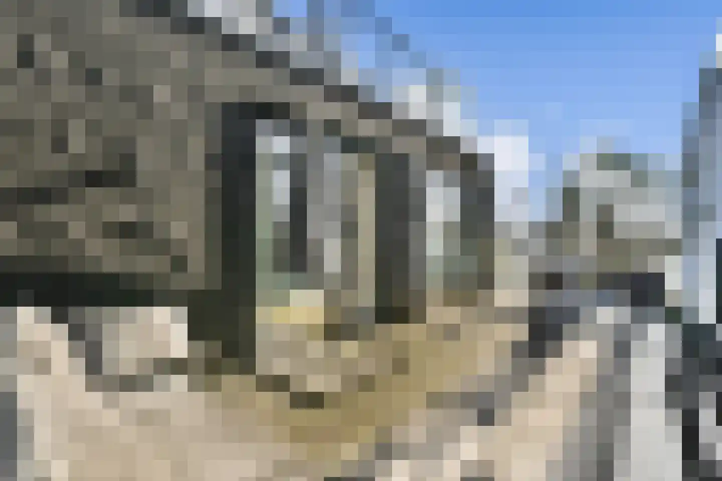 Mies van der Rohestraat 47 Hoofddorp thumbnail 11
