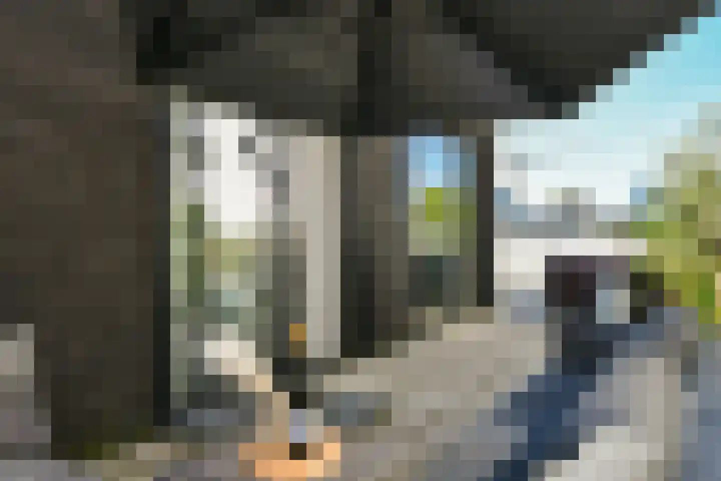 Mies van der Rohestraat 47 Hoofddorp thumbnail 20