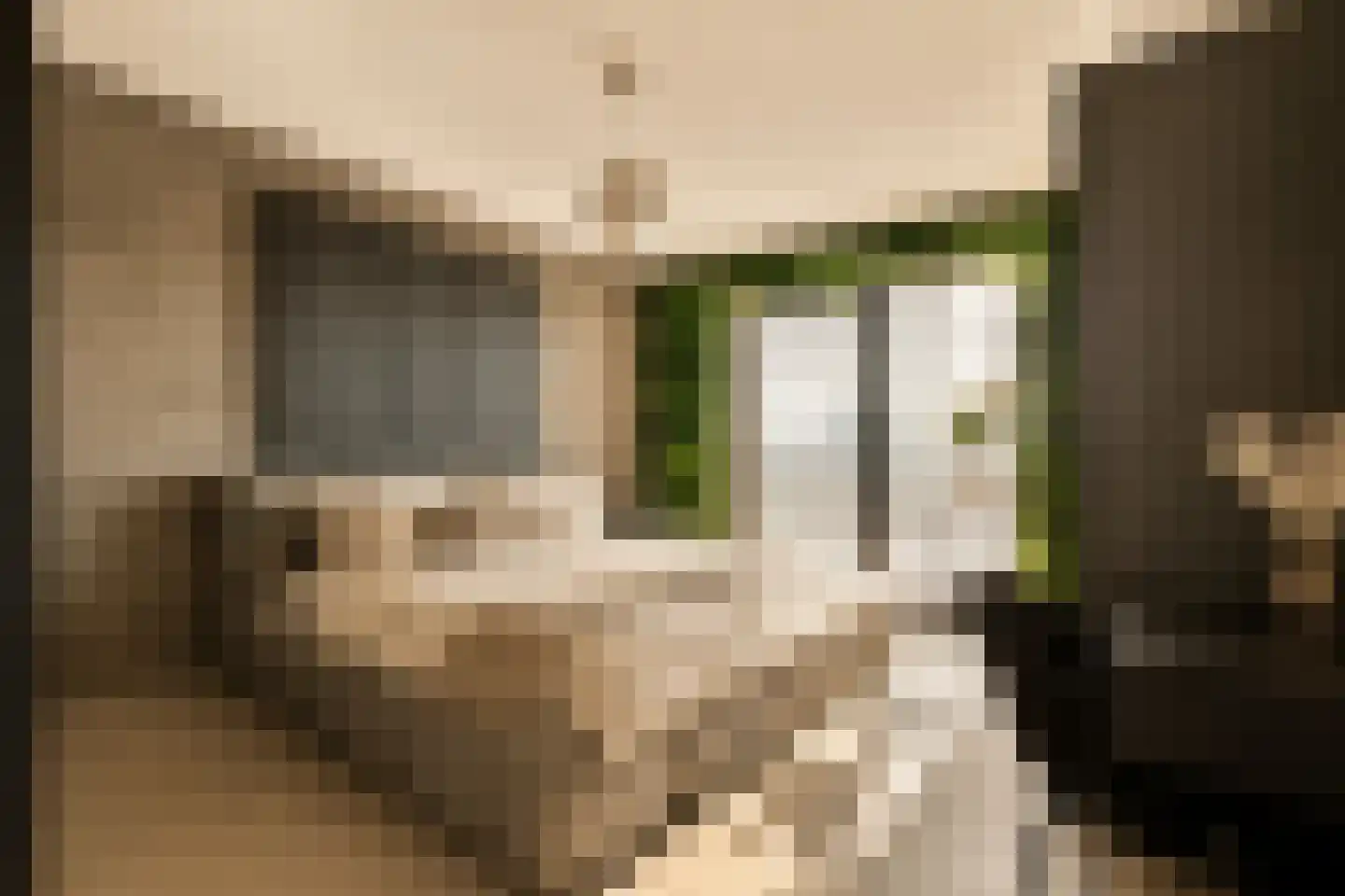 Mies van der Rohestraat 47 Hoofddorp thumbnail 5