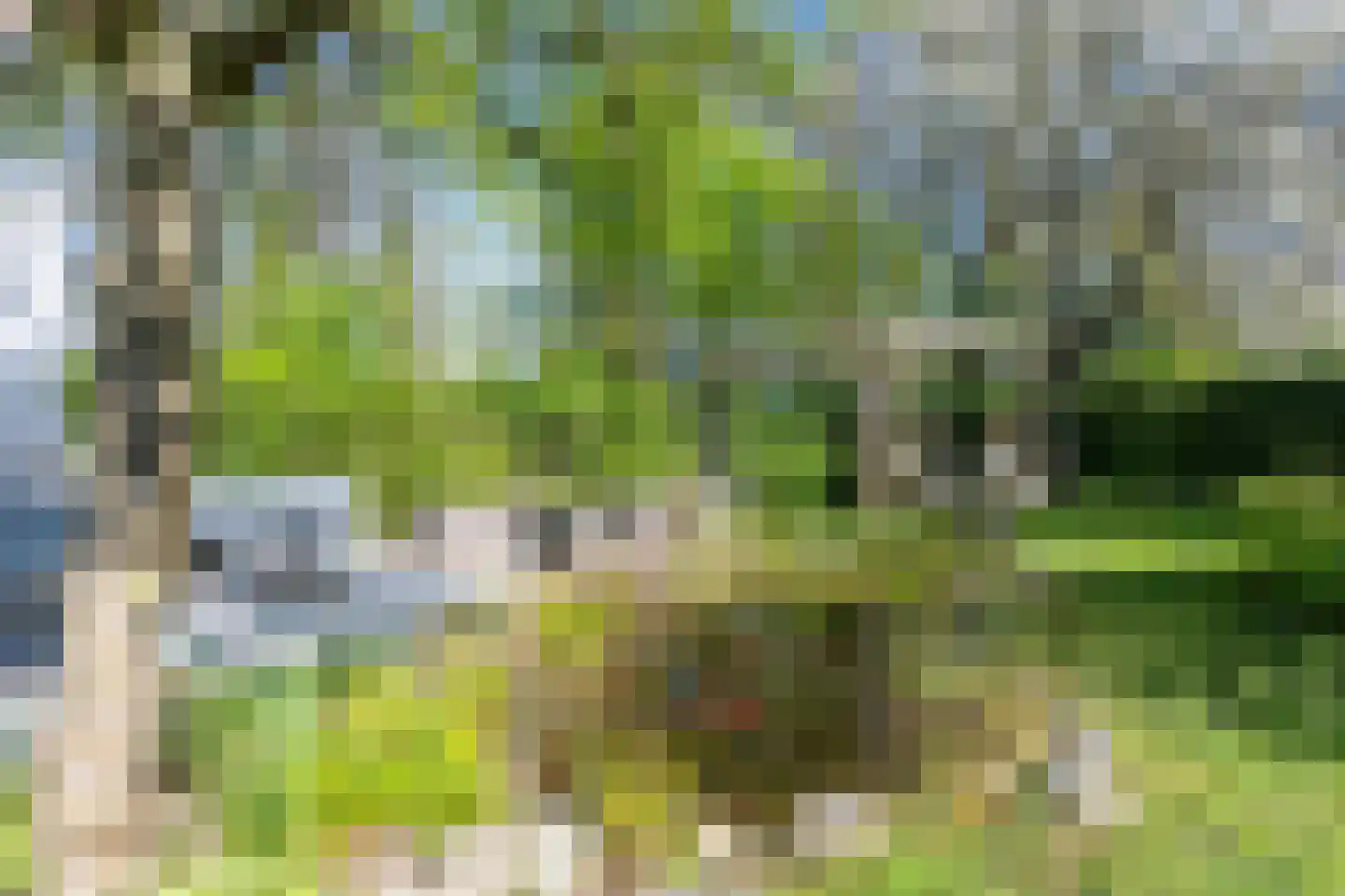 Mies van der Rohestraat 6 Landgraaf thumbnail 29
