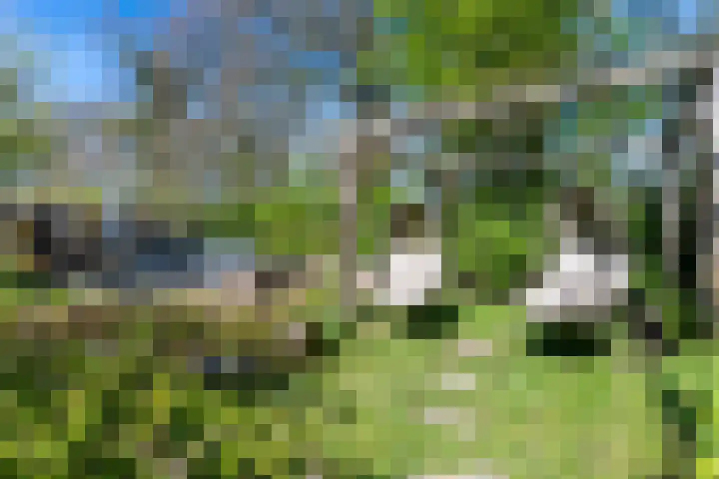 Mies van der Rohestraat 6 Landgraaf thumbnail 30