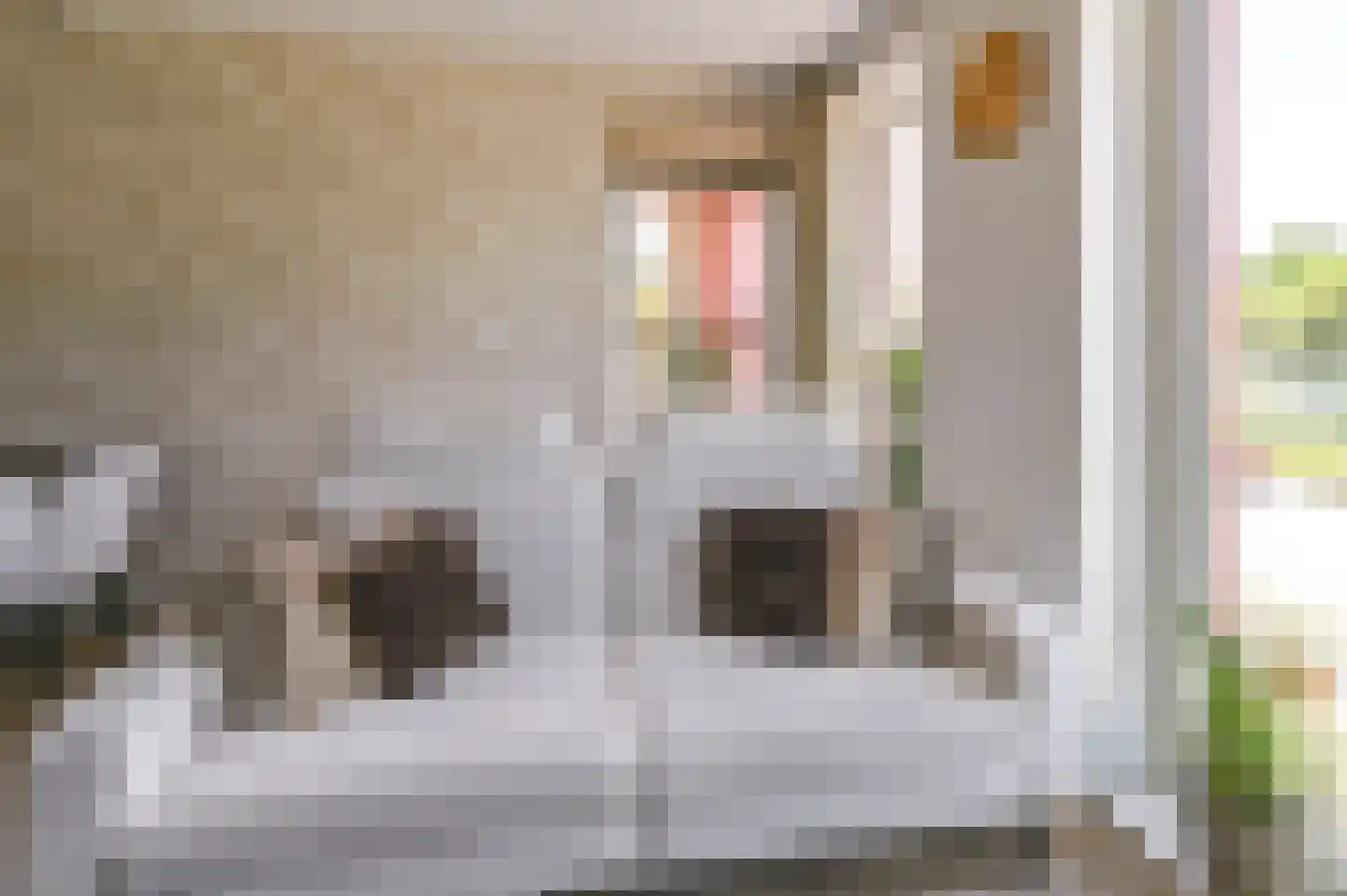Mies van der Rohestraat 63 Hoofddorp thumbnail 20
