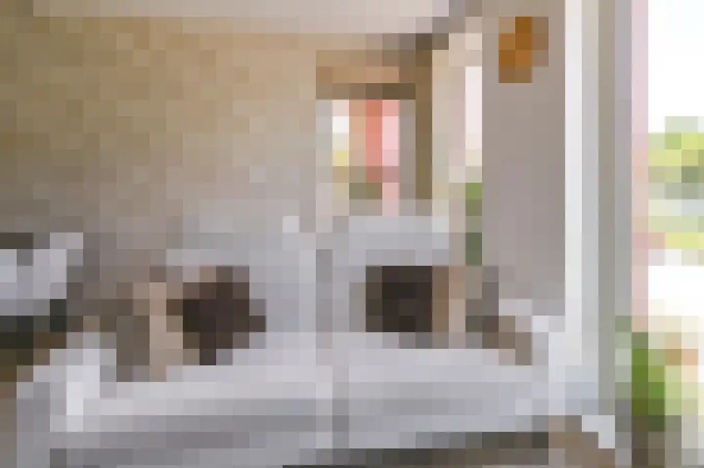 Mies van der Rohestraat 63 Hoofddorp thumbnail 22