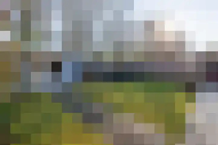 Mies van der Rohestraat 8 Landgraaf thumbnail 26