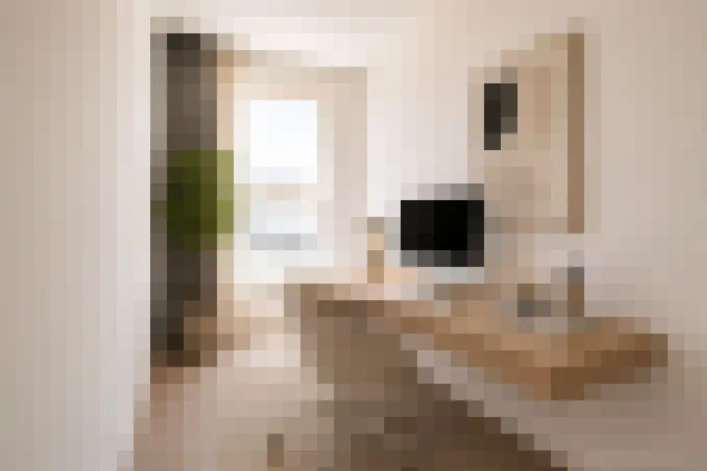 Mies van der Rohestraat 81 Hoofddorp thumbnail 16