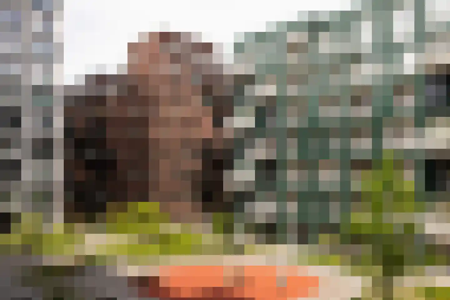 Mies van der Rohestraat 81 Hoofddorp thumbnail 23