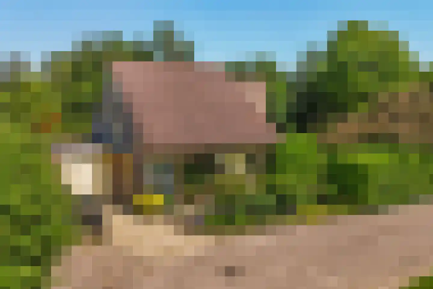 Migchelbrinkwei 24 De Trieme thumbnail 11