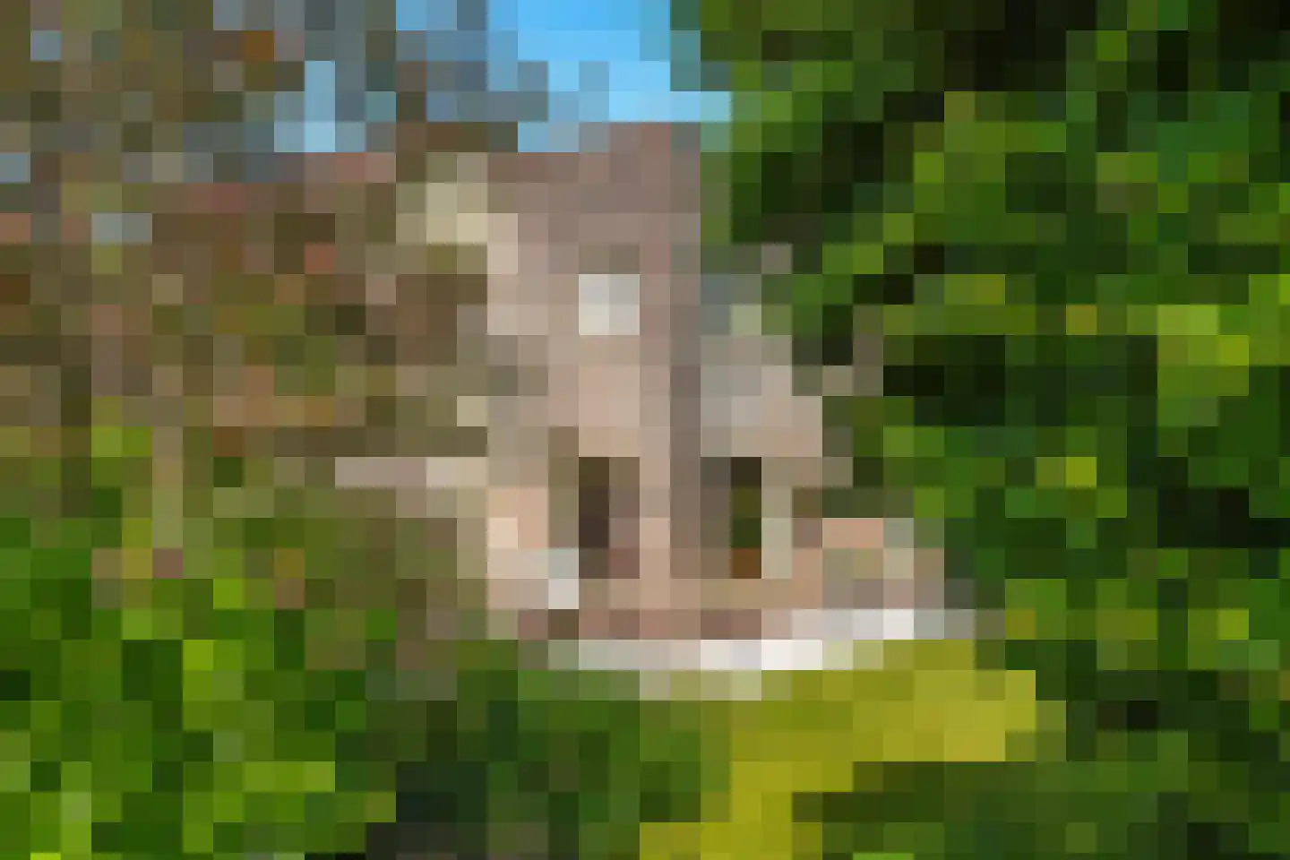 Migchelbrinkwei 24 De Trieme thumbnail 13