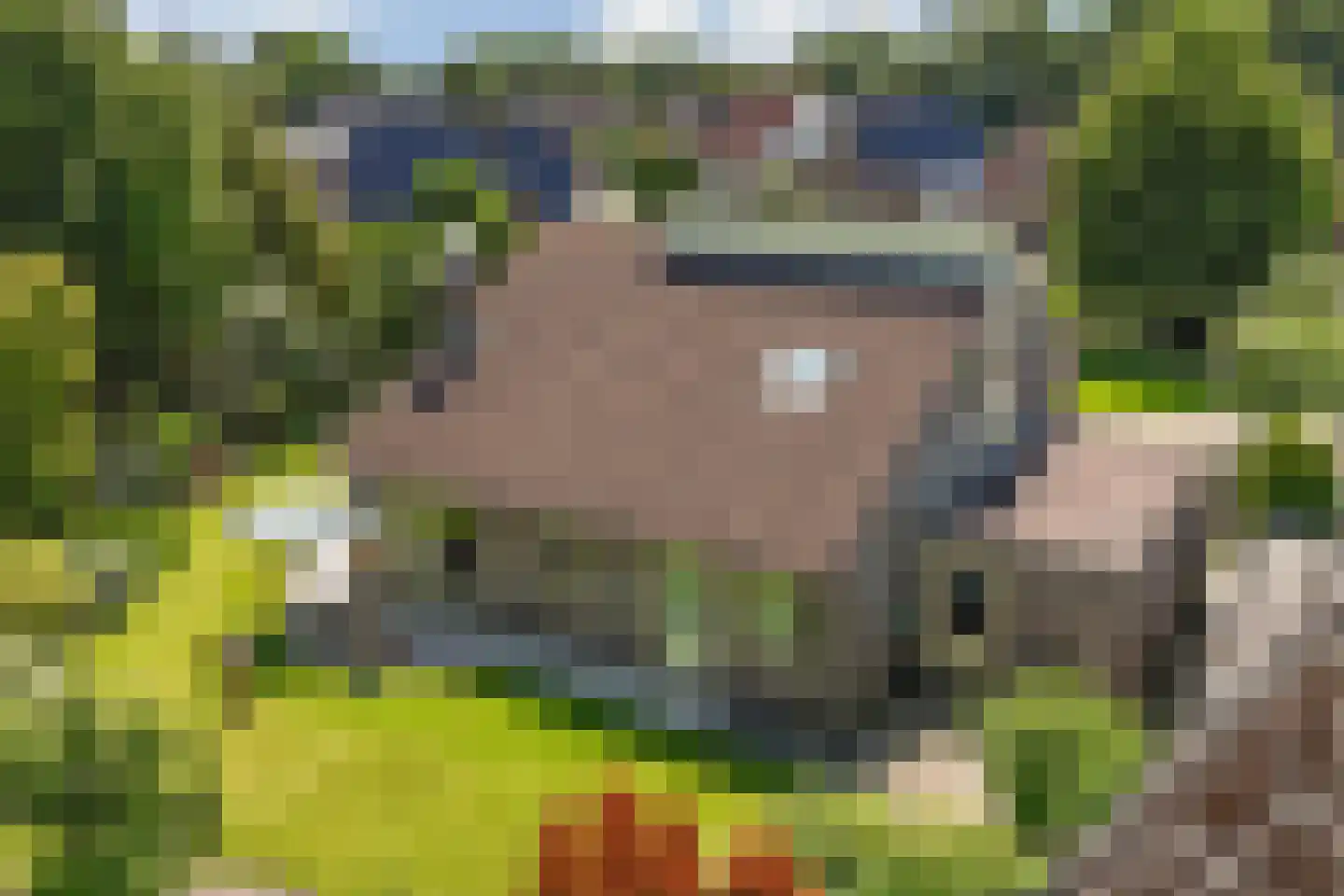 Migchelbrinkwei 24 De Trieme thumbnail 15