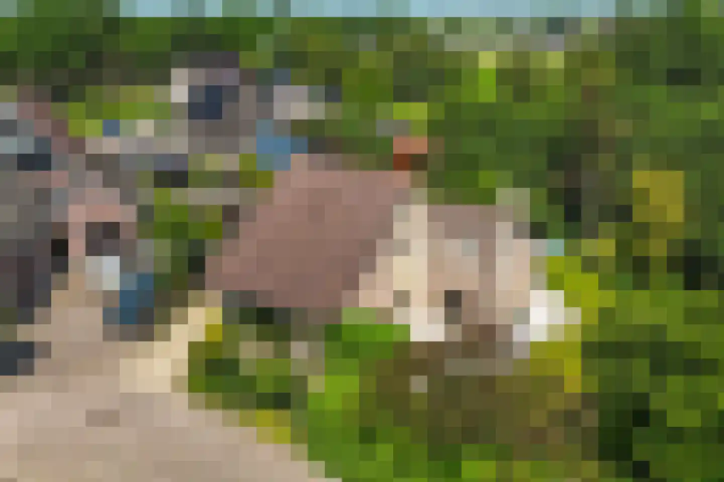 Migchelbrinkwei 24 De Trieme thumbnail 18