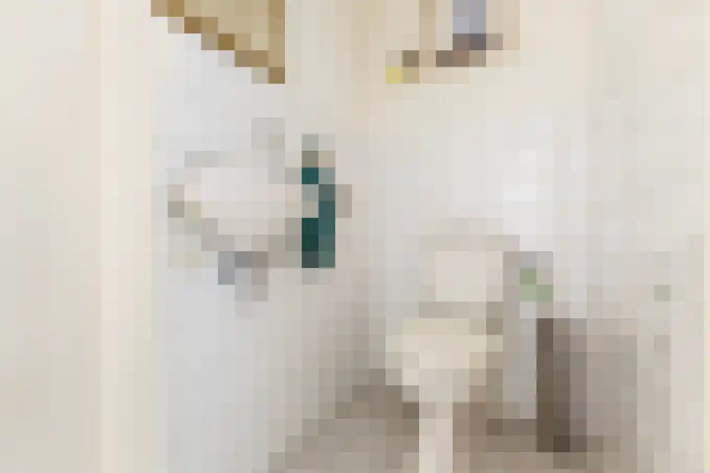 Migchelbrinkwei 24 De Trieme thumbnail 22
