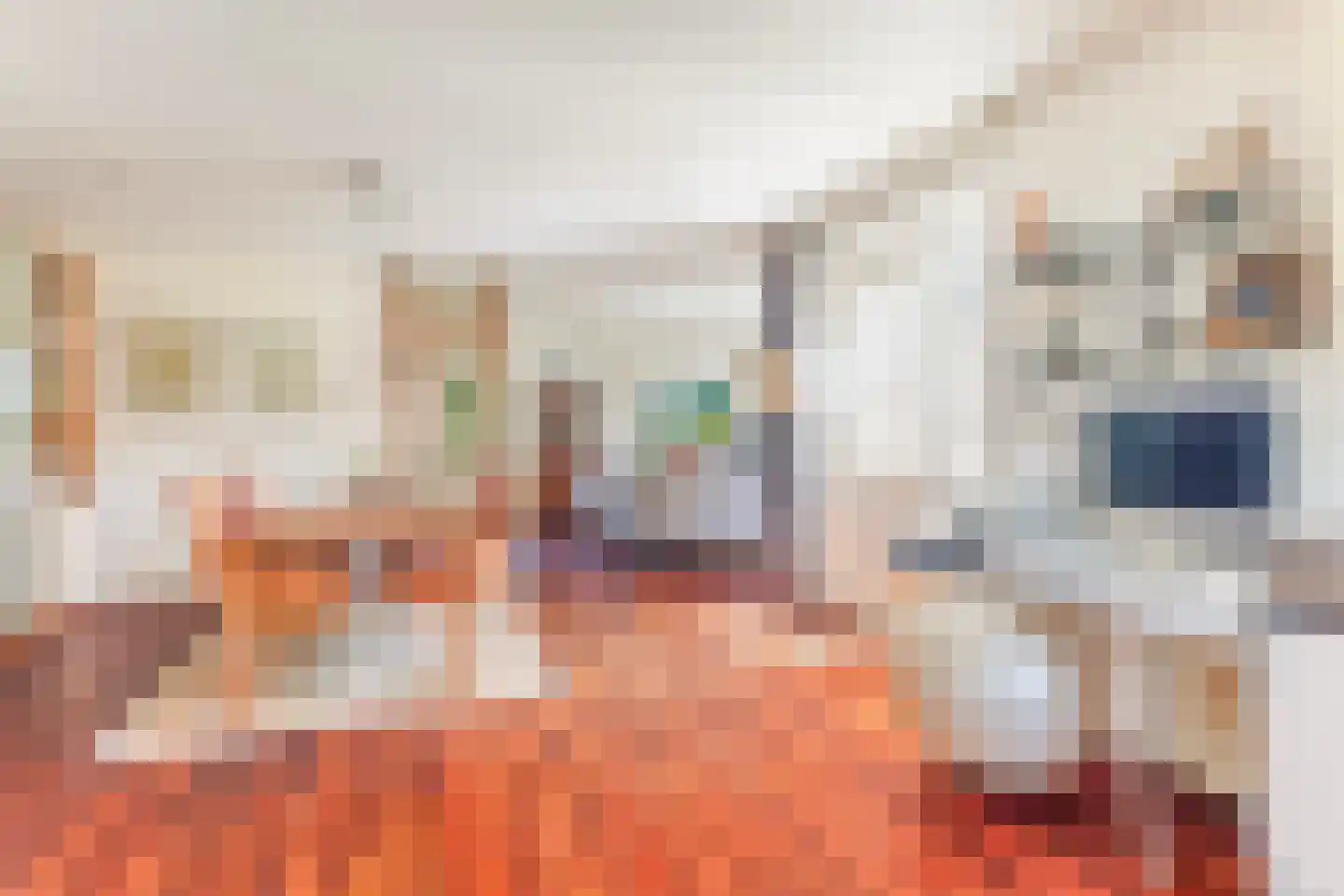Migchelbrinkwei 24 De Trieme thumbnail 28