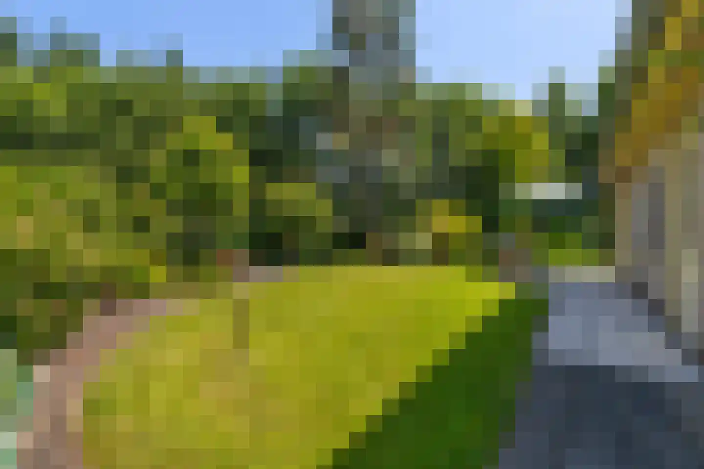 Migchelbrinkwei 24 De Trieme thumbnail 41