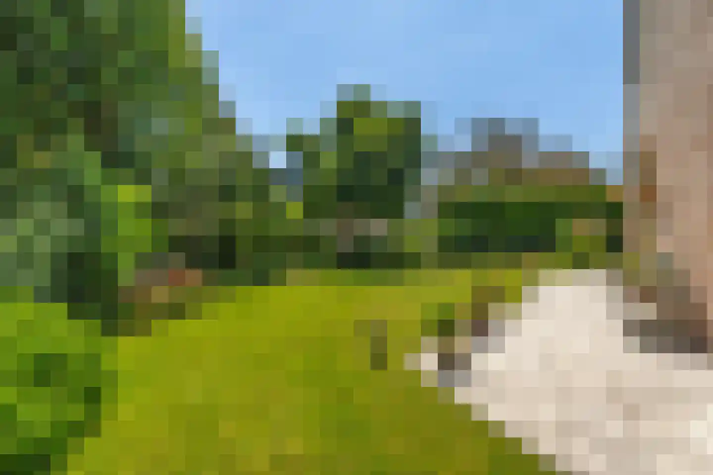 Migchelbrinkwei 24 De Trieme thumbnail 42