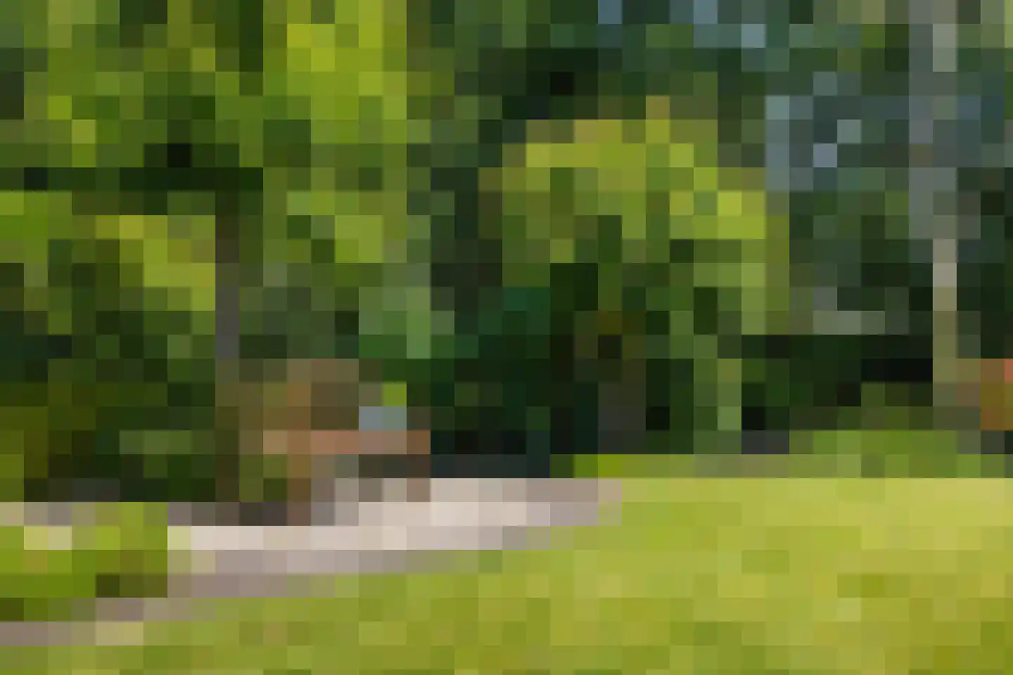 Migchelbrinkwei 24 De Trieme thumbnail 47