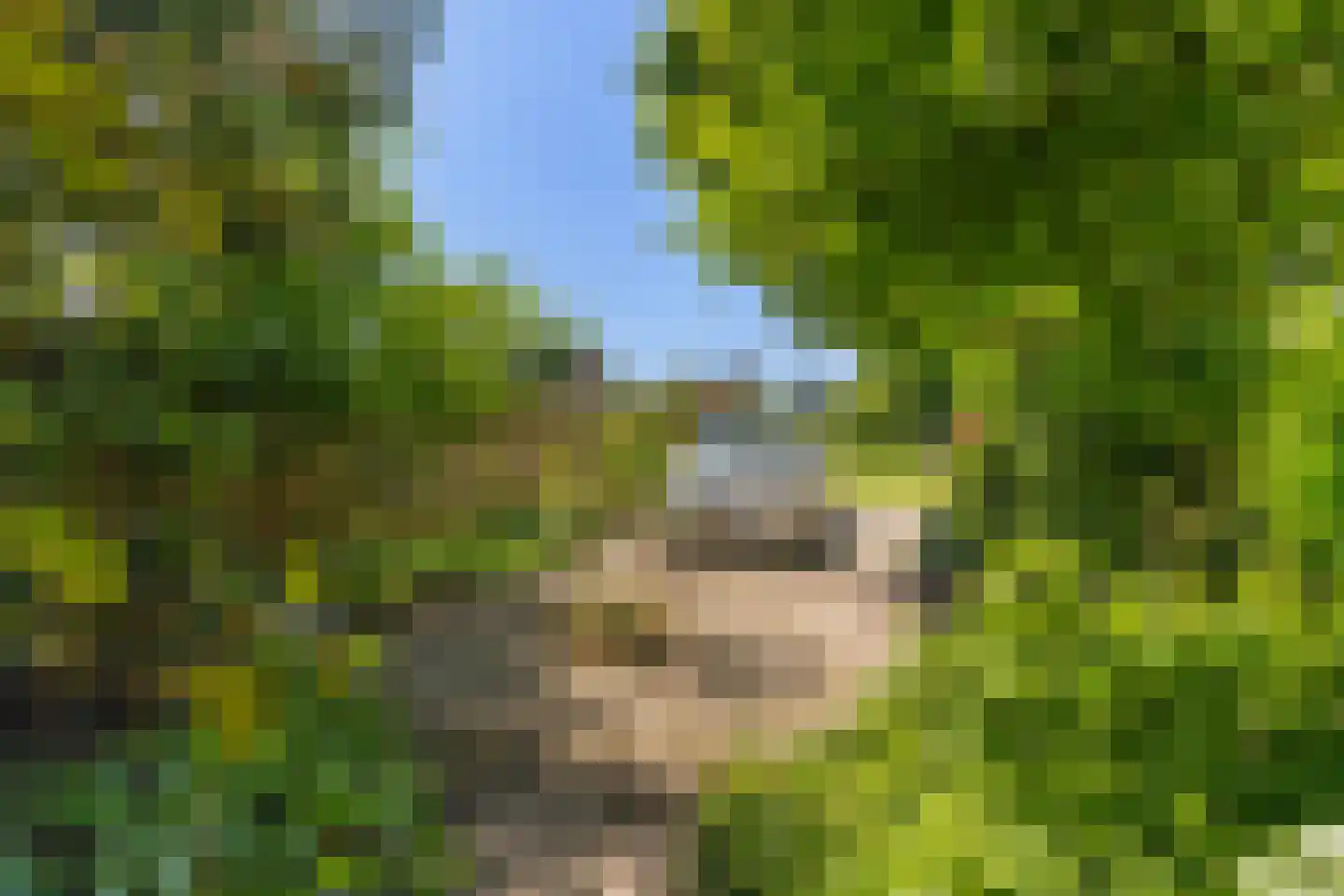 Migchelbrinkwei 24 De Trieme thumbnail 58