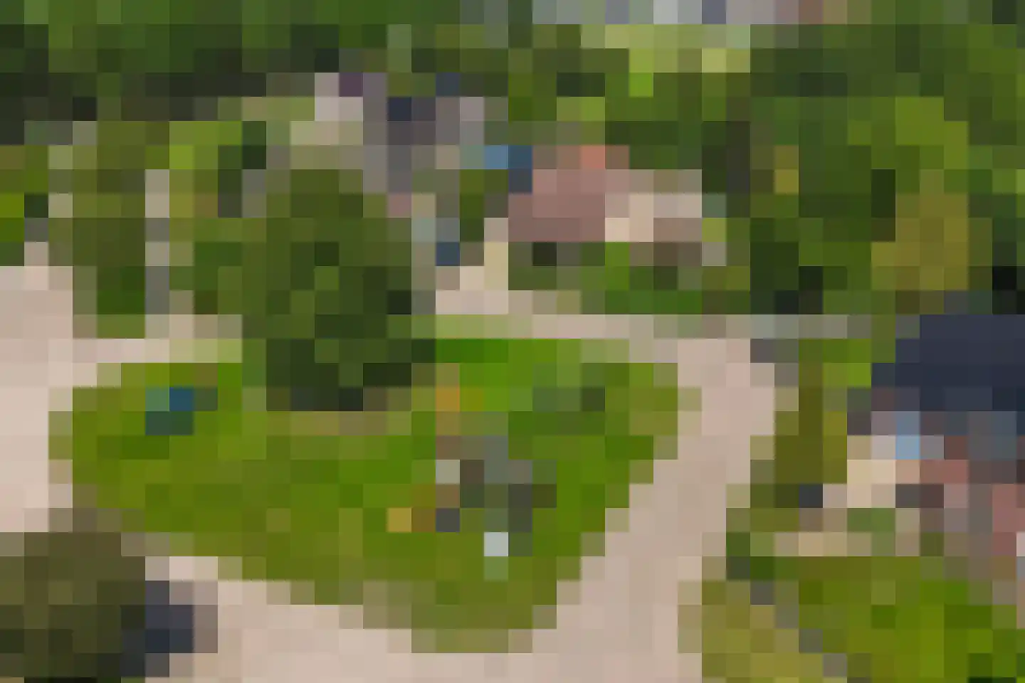 Migchelbrinkwei 24 De Trieme thumbnail 6