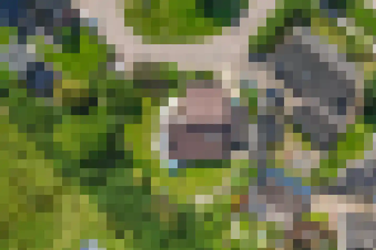 Migchelbrinkwei 24 De Trieme thumbnail 7