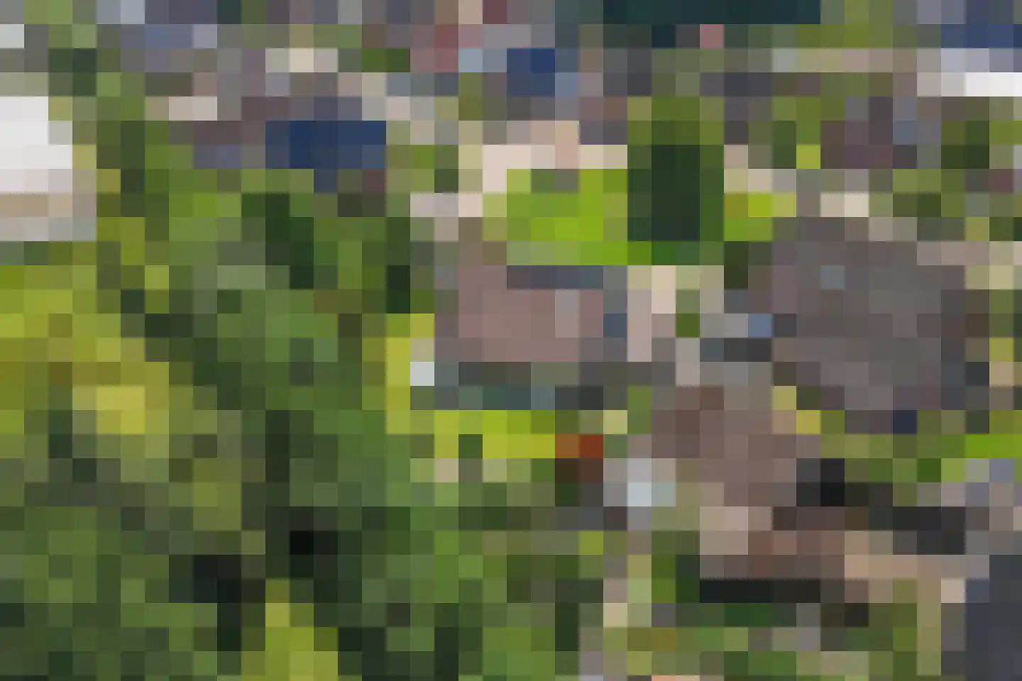 Migchelbrinkwei 24 De Trieme thumbnail 8
