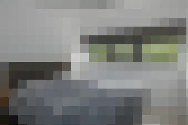 Miggelenbergweg 20 G Hoenderloo thumbnail 17