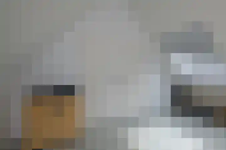 Miggelenbergweg 20 G Hoenderloo thumbnail 22