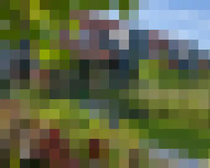 Miggelenbergweg 20 G Hoenderloo thumbnail 6