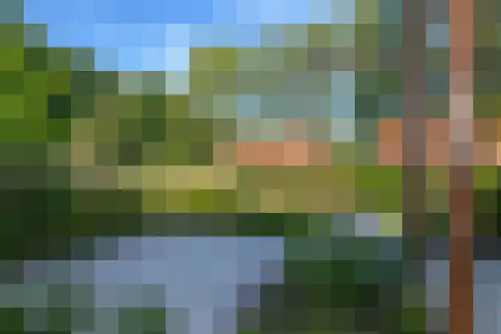 Miggelenbergweg 20 G Hoenderloo thumbnail 7