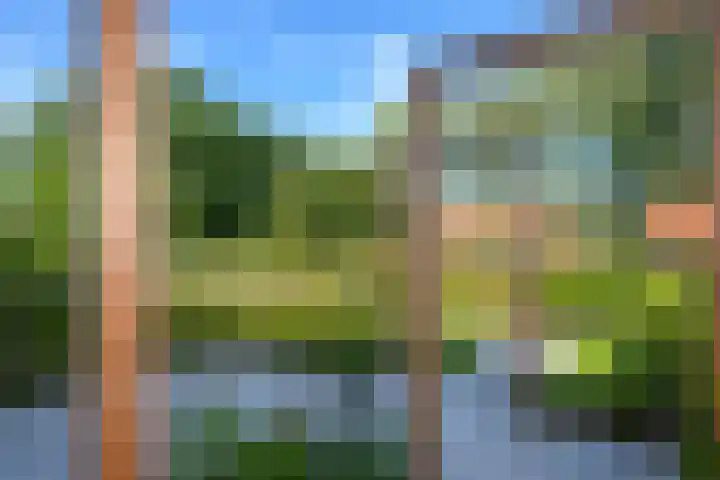 Miggelenbergweg 20 G Hoenderloo thumbnail 8