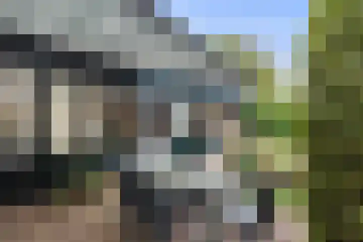 Mignonstraat 1 Apeldoorn thumbnail 10