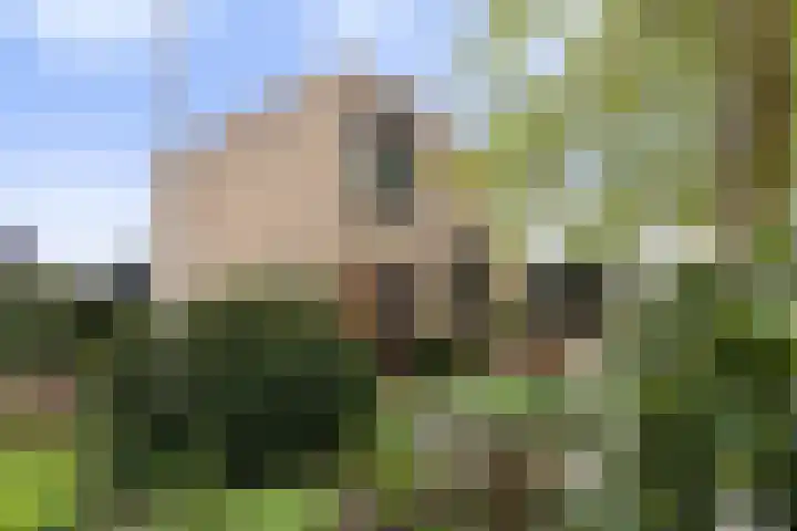 Mignonstraat 1 Apeldoorn thumbnail 39
