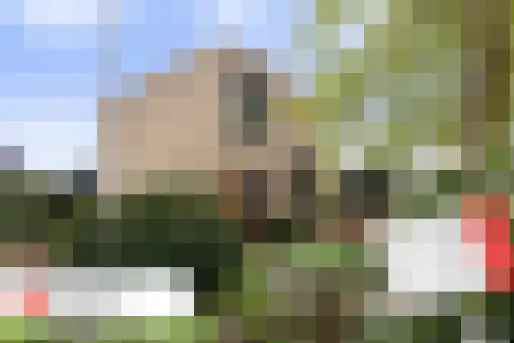 Mignonstraat 1 Apeldoorn thumbnail 46