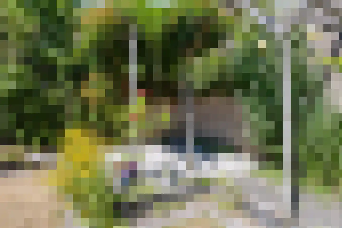 Mignonstraat 12 Apeldoorn thumbnail 26