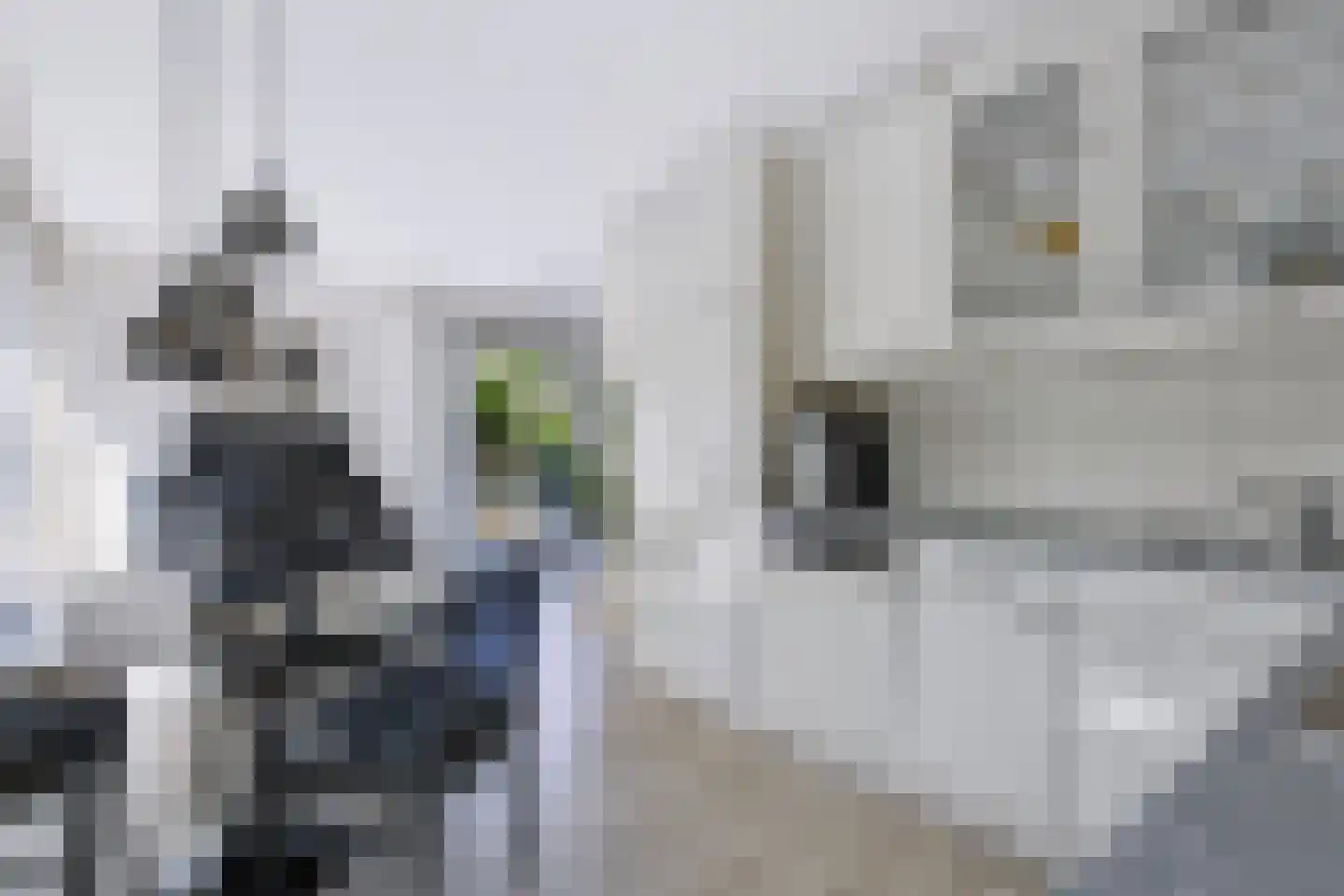 Mignonstraat 12 Apeldoorn thumbnail 9