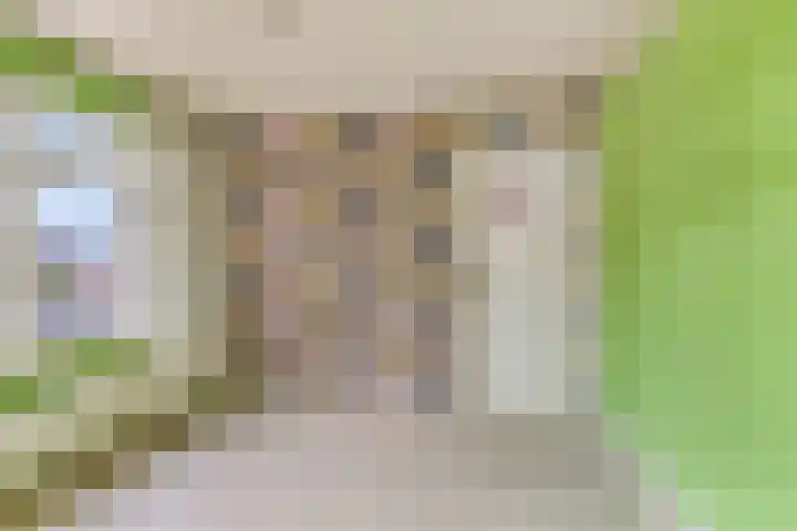 Mignonstraat 3 Wernhout thumbnail 21