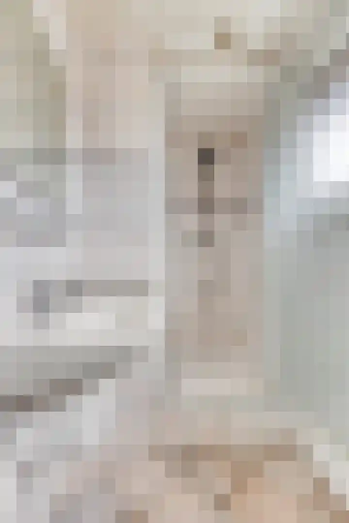 Mignonstraat 3 Wernhout thumbnail 24