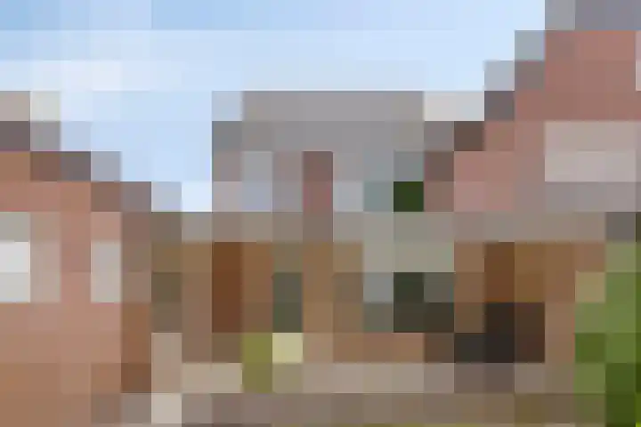 Mignonstraat 3 Wernhout thumbnail 28