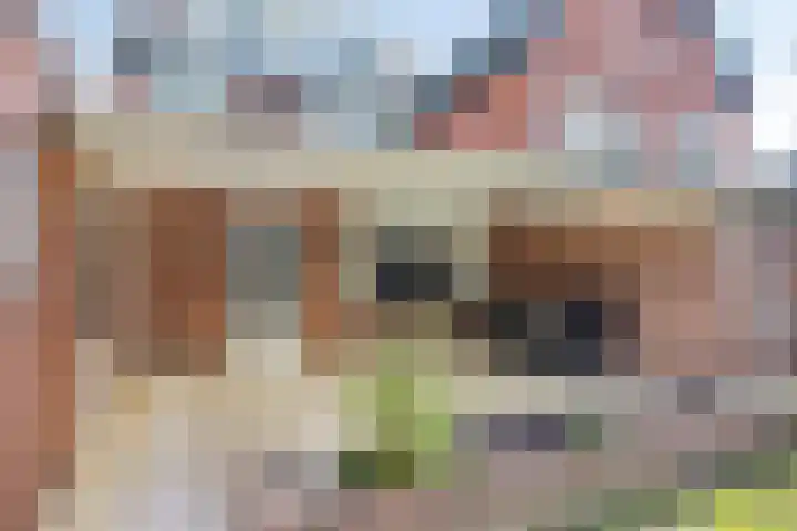 Mignonstraat 3 Wernhout thumbnail 29
