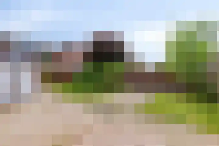 Mignonstraat 3 Wernhout thumbnail 5