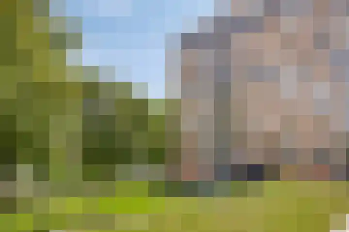Mignot en De Blockplein 54 Eindhoven thumbnail 26